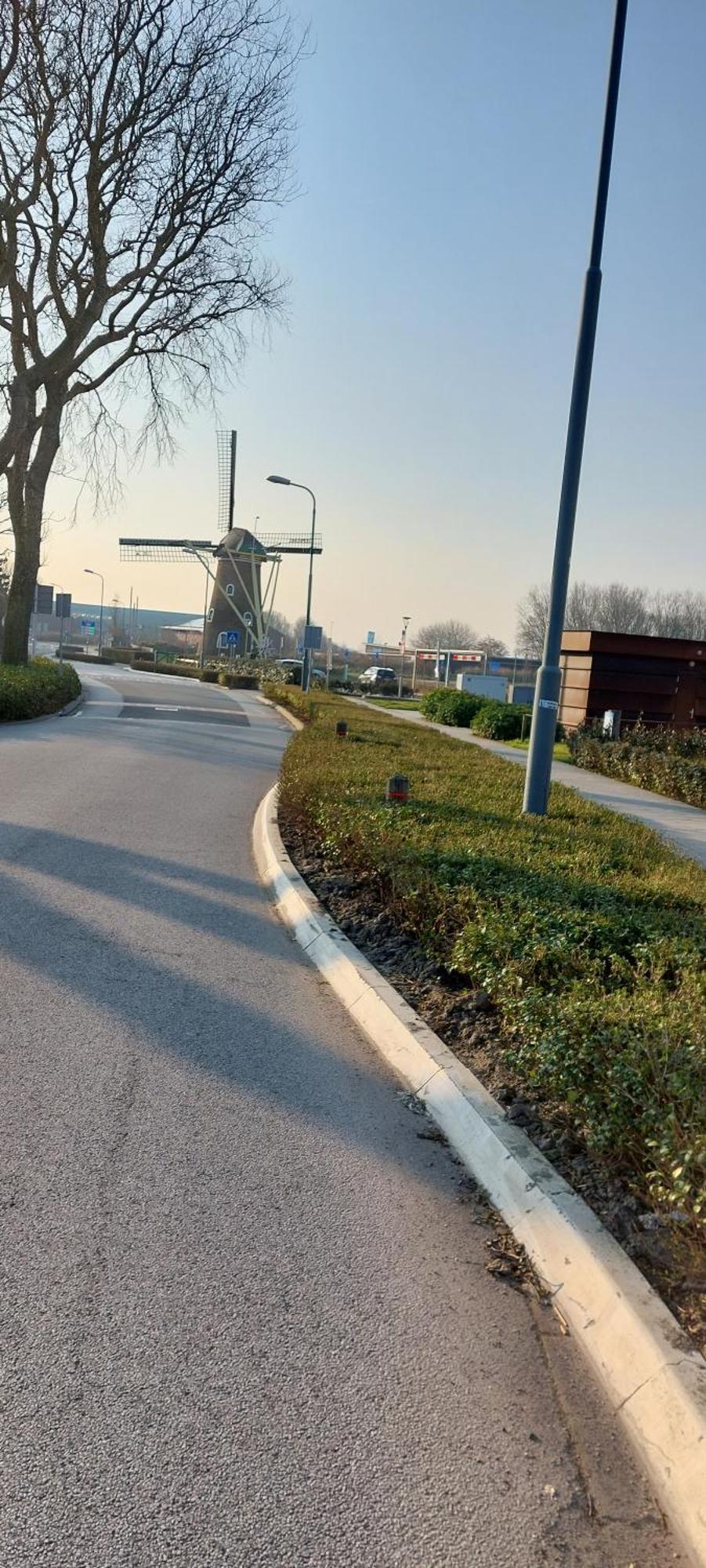 Wijngaardstraat 7A Domburgヴィラ エクステリア 写真